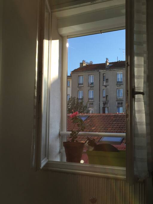 Le chat ne sera pas présent il part en vacances :)