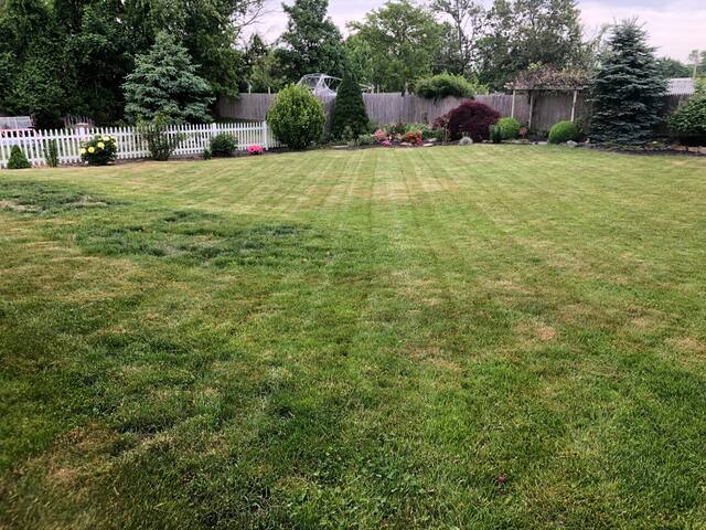 The Pool House gallery image 5