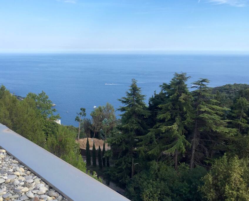 View from your window