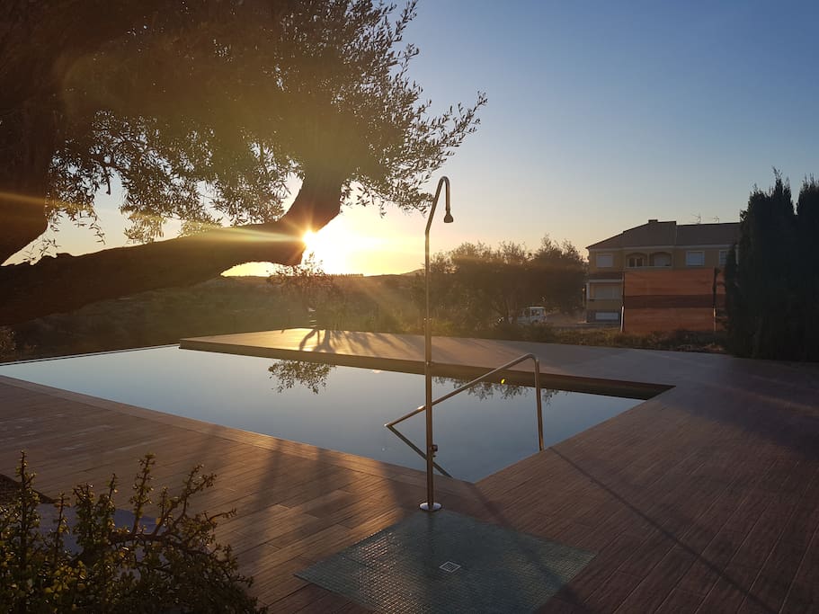 Bonitos atardeceres