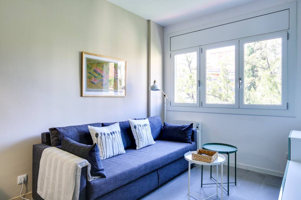 Living room has a sofa bed