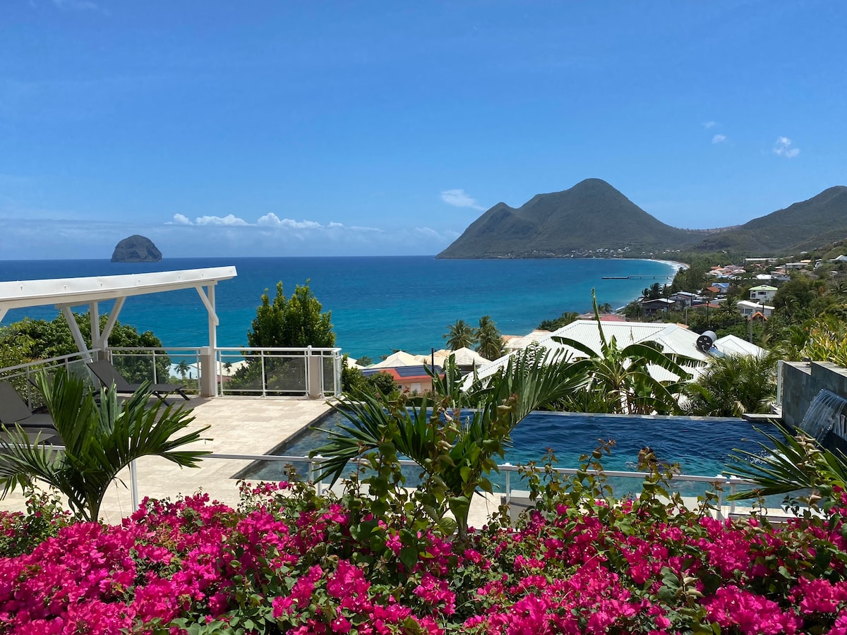 A scenic view of the Caribbean Sea is captured, featuring the Rocher du Diamant and Morne Larcher in the background. Tropical plants with vibrant pink flowers frame the foreground, while a common infinity pool is visible, reflecting the clear blue sky.