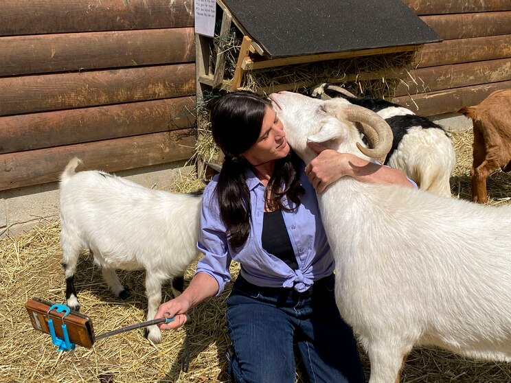 Mostrar imagem fornecida pelo anfitrião em ecrã inteiro
