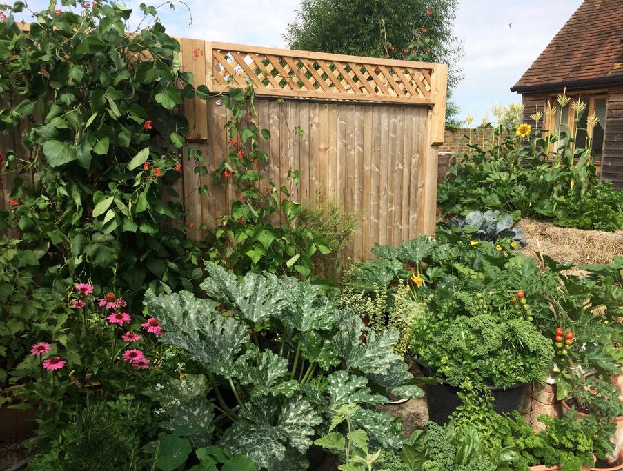 garden