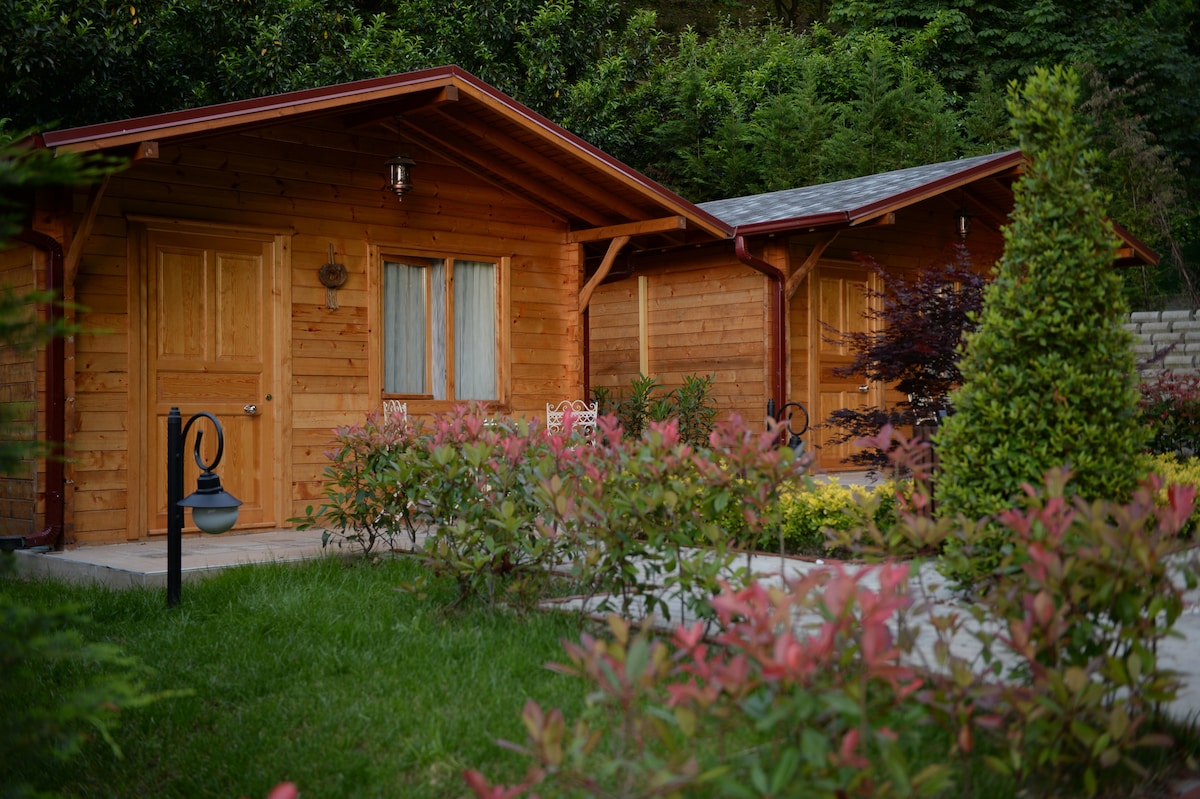 Two wooden bungalows are surrounded by neatly landscaped greenery, featuring vibrant shrubs and flowers. Each bungalow has a wooden door and windows adorned with curtains, while a decorative lantern stands near a pathway leading to the entrance.