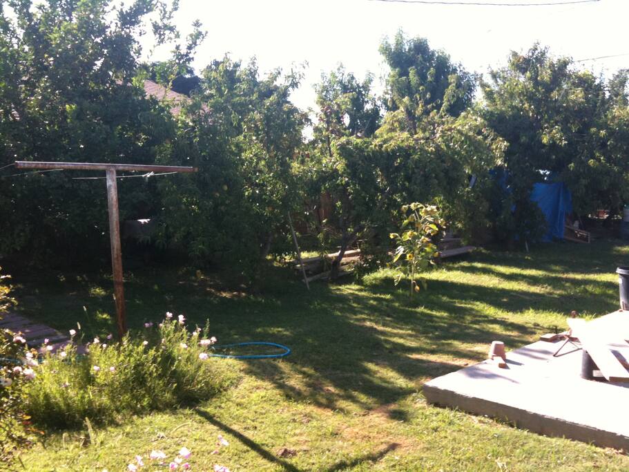 LOVELY BACK YARD