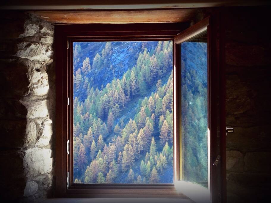 Vista autunno ovest Le Petit Cadeau