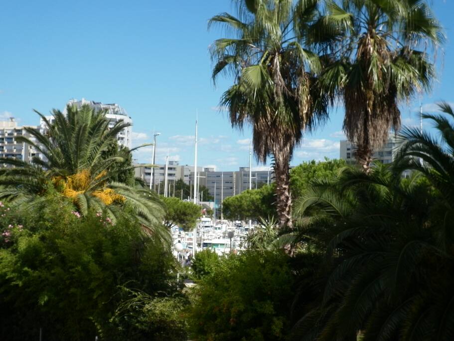 Vue de la terrasse donnant sur port