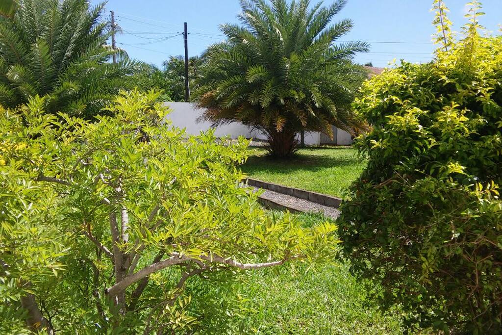 Jardin