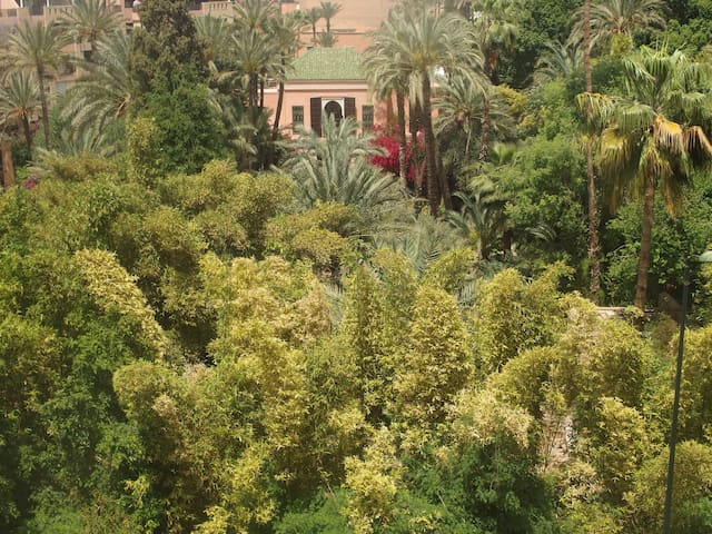 Amazing view on Majorelle Garden.