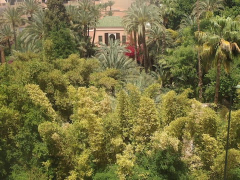 Vue somptueuse sur Majorelle