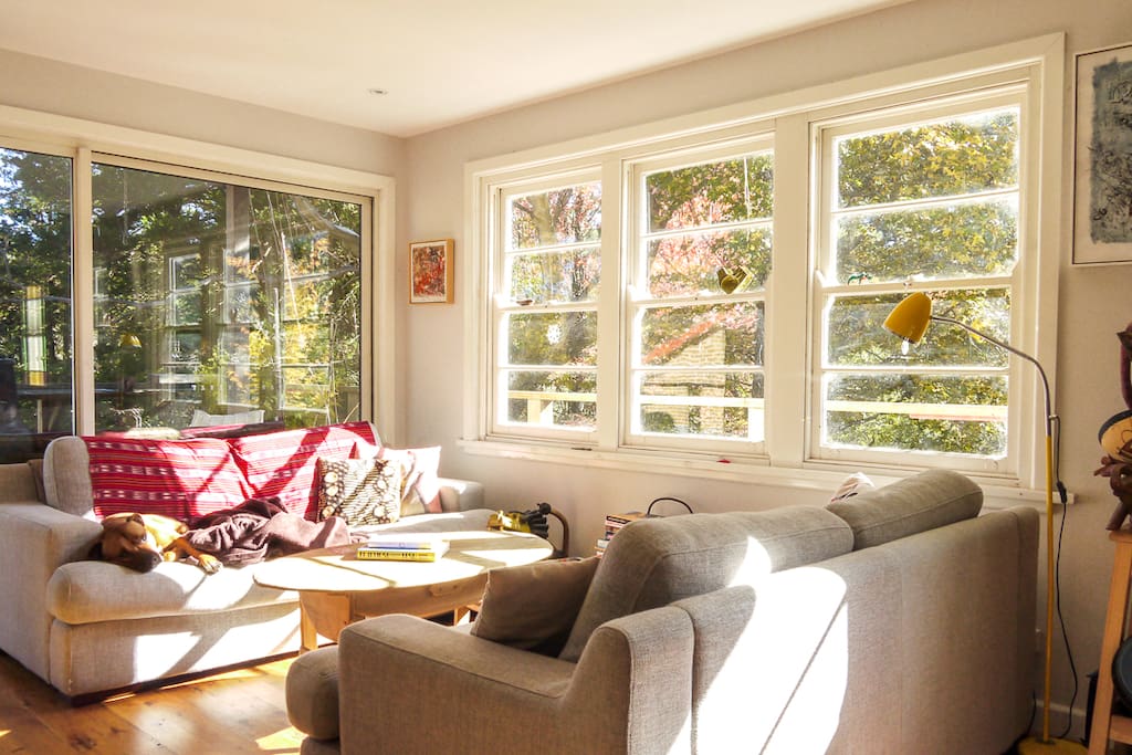 morning sun in the living room.