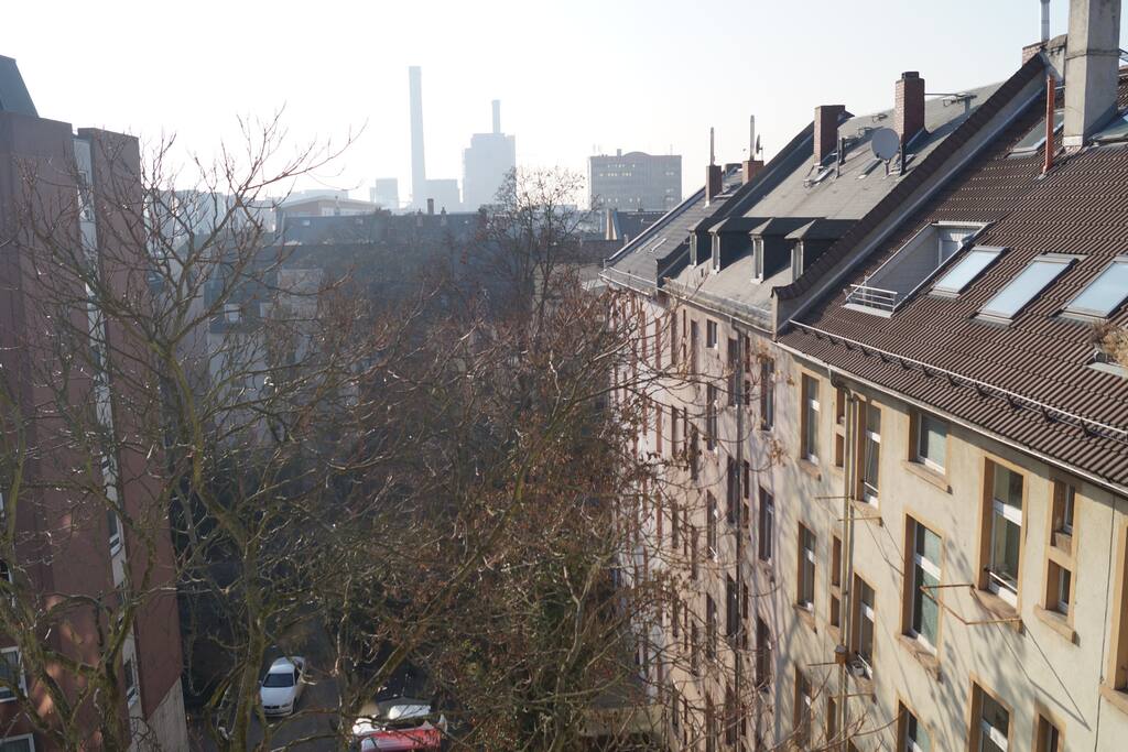 the view out of your window