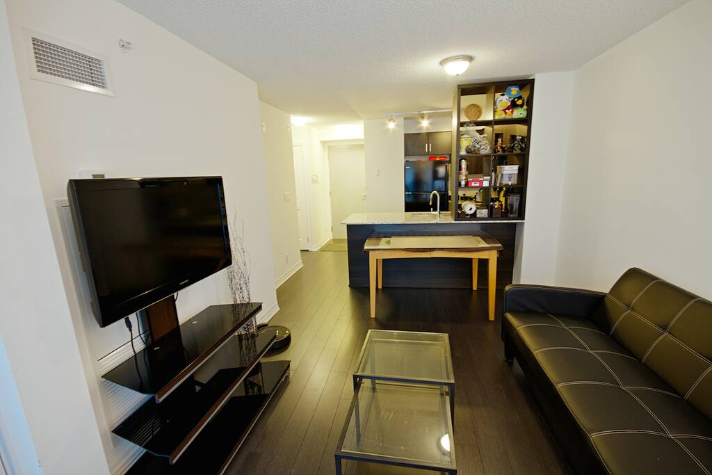 Livingroom overlooking Kitchen