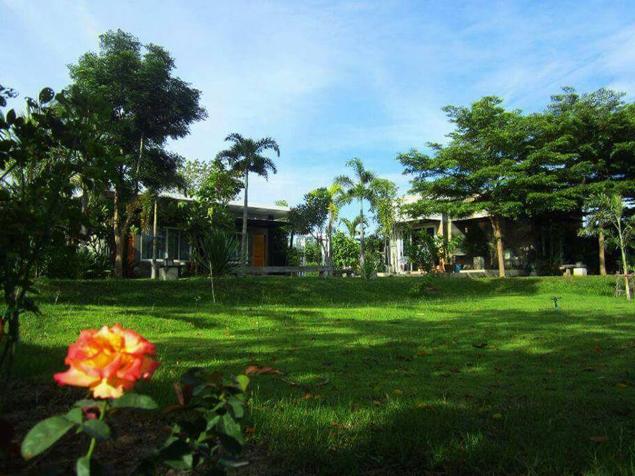 Room and front garden