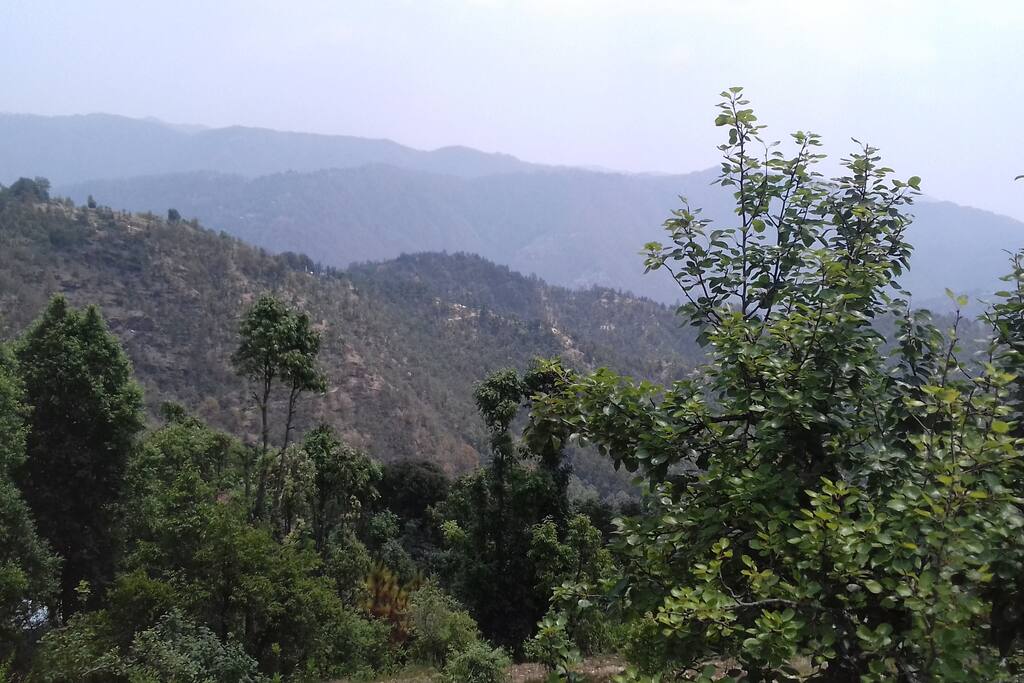 View from camps