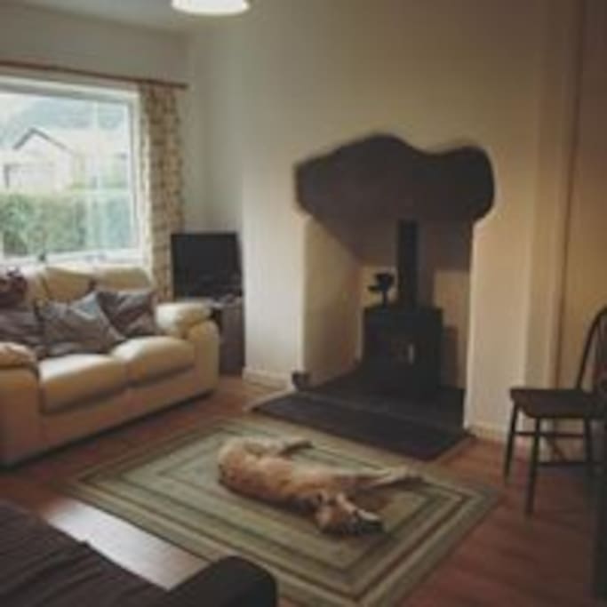 Cosy living room with toasty woodburner. Lurcher not included!