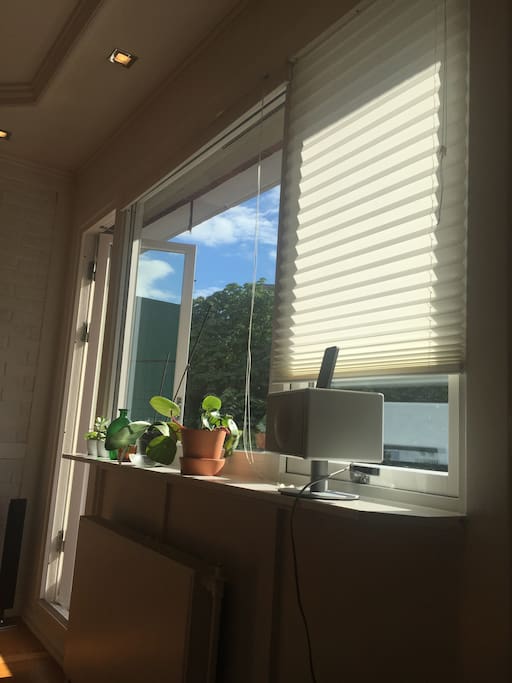 View from livingroom