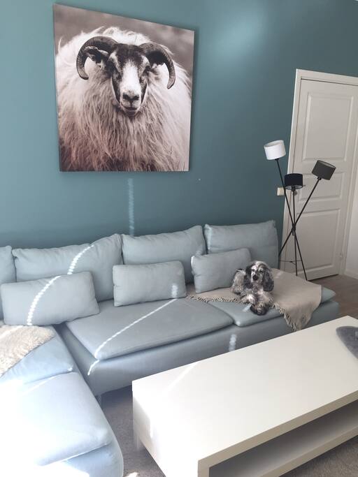 At the end of the day you can relax on our massive couch, that also doubles as a bed if needed