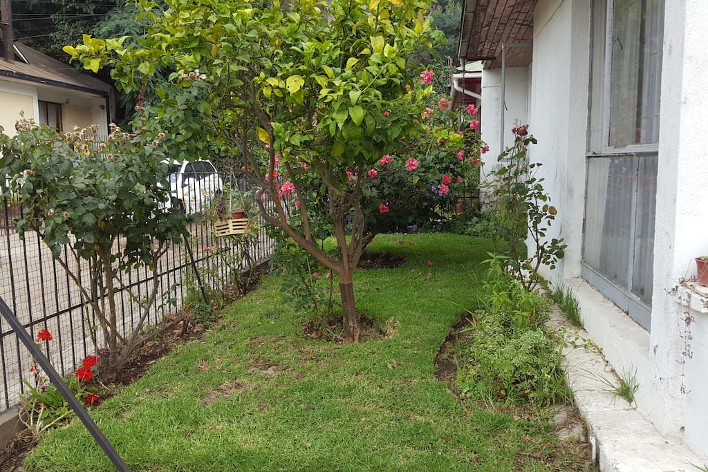 Antejardín