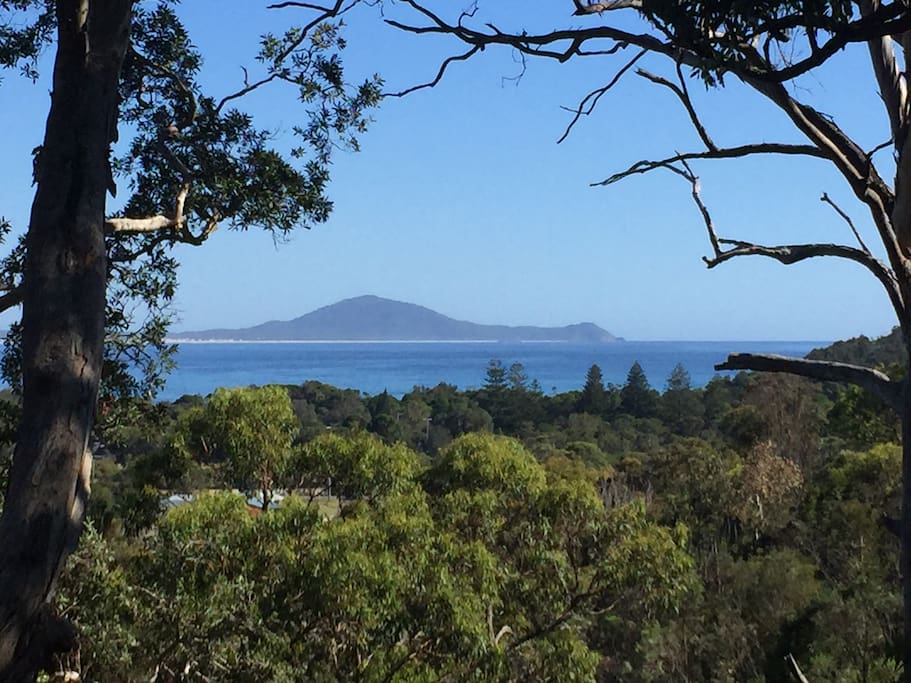The Bay