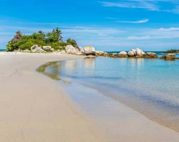 topless-beach-pics-of-nova-scotia-amanda-rosa-hot