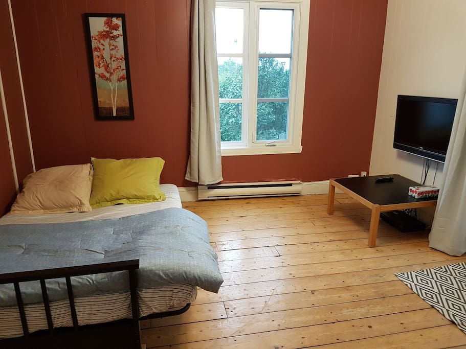 Living room as a room, sofa-bed 2 places