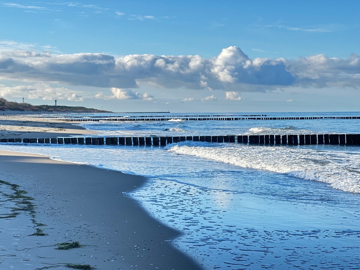 The image captures a tranquil beach scene featuring gentle waves lapping at the shore. A long line of wooden groynes extends into the sea, with a backdrop of blue skies and scattered clouds. The sandy beach displays patches of green grass and wet sand glistening in the light.