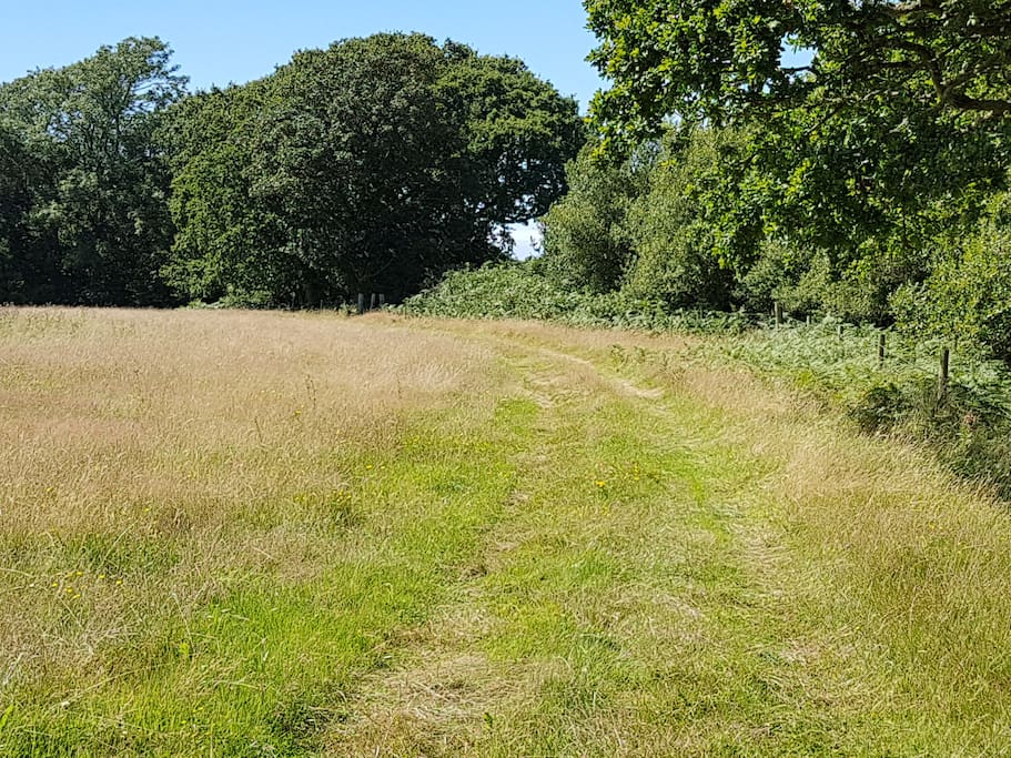 The driveway - through two fields to your own peaceful space.