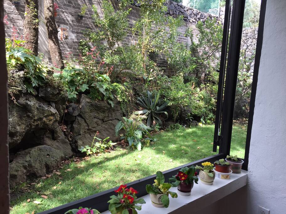Vista al jardín