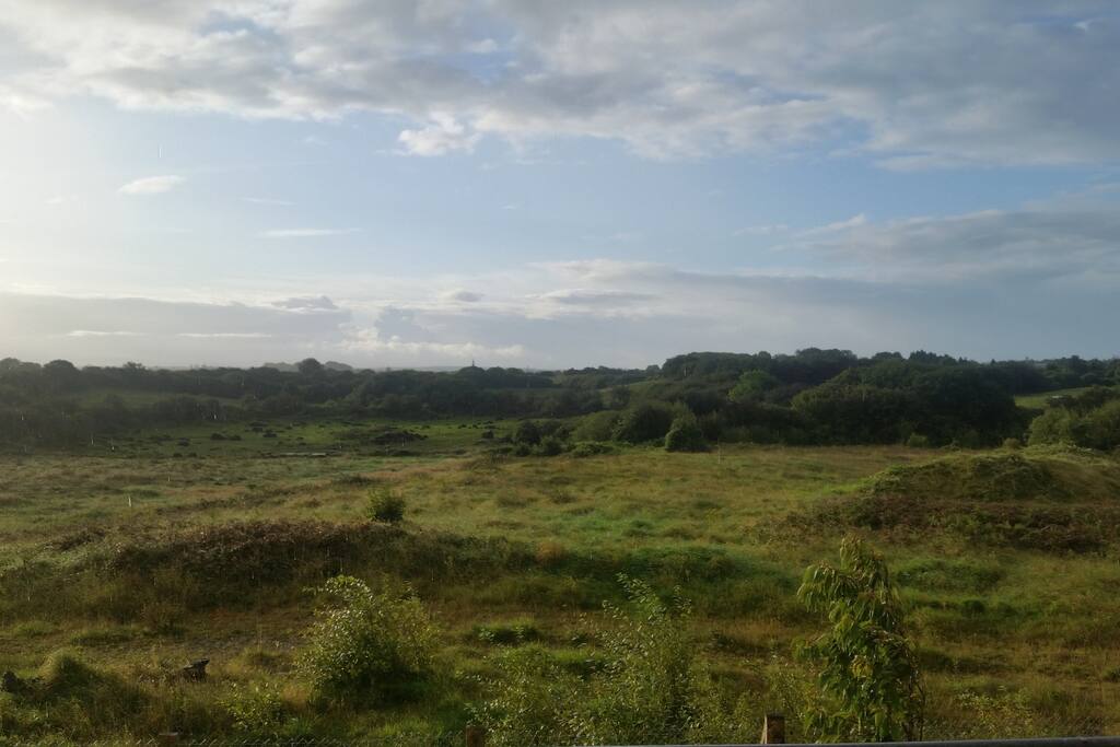View from the bedroom
