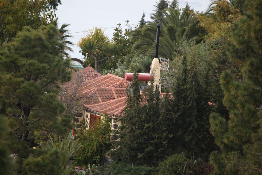 Blick aufs Haus