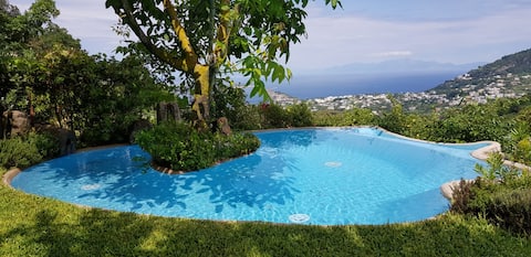 "The little green-blue sapphire"