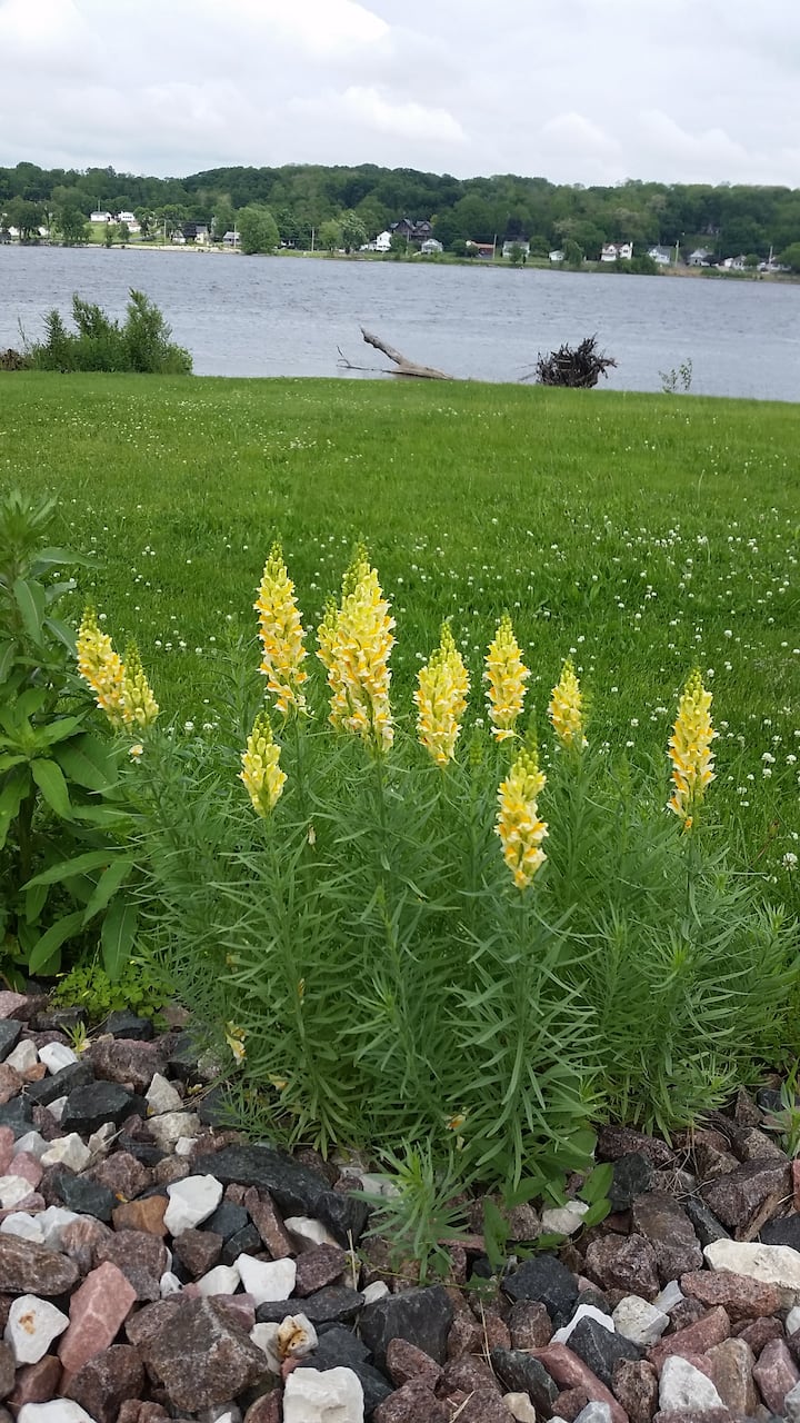 Historic Riverboat Captain's house (two bedroom) Guest suites for Rent in Le Claire, Iowa