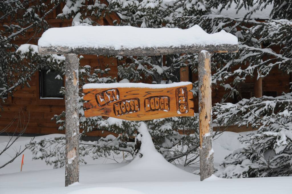 Welcome to the Lazy Moose Lodge
