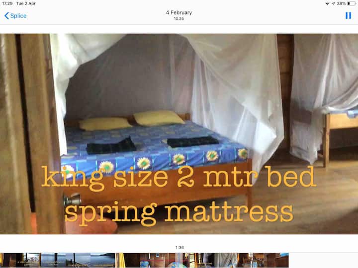Bedroom with king size double bed and single bed (2 bungalows have bunk beds here) with mosquito nets