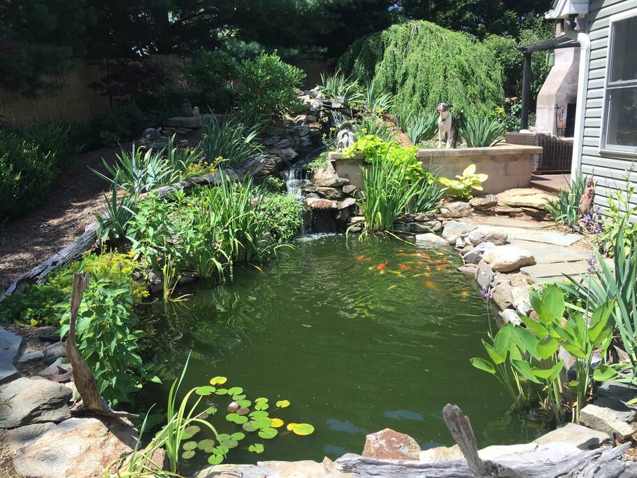 Relax by our large koi pond