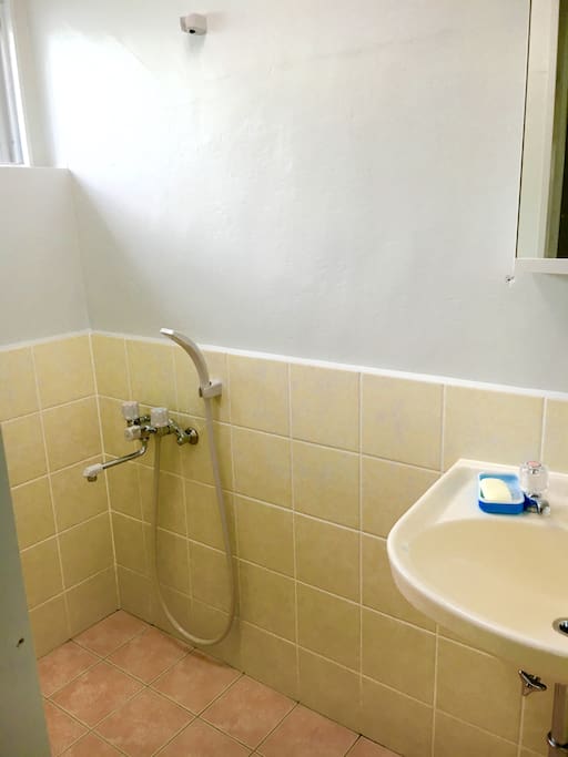 Shower room