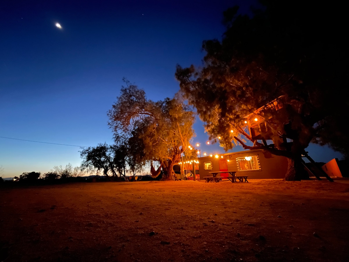 The cabin is nestled among trees under a twilight sky, with warm lights glowing softly around the entrance. A picnic table can be seen on the ground, providing a space for outdoor gatherings. Stars are starting to emerge in the dusk sky.