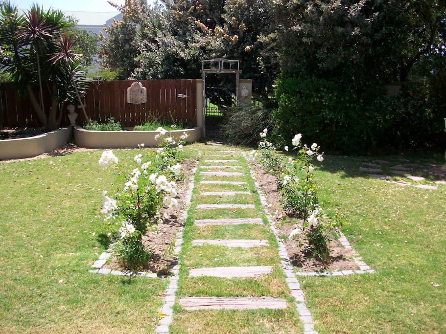 pet friendly garden with braai