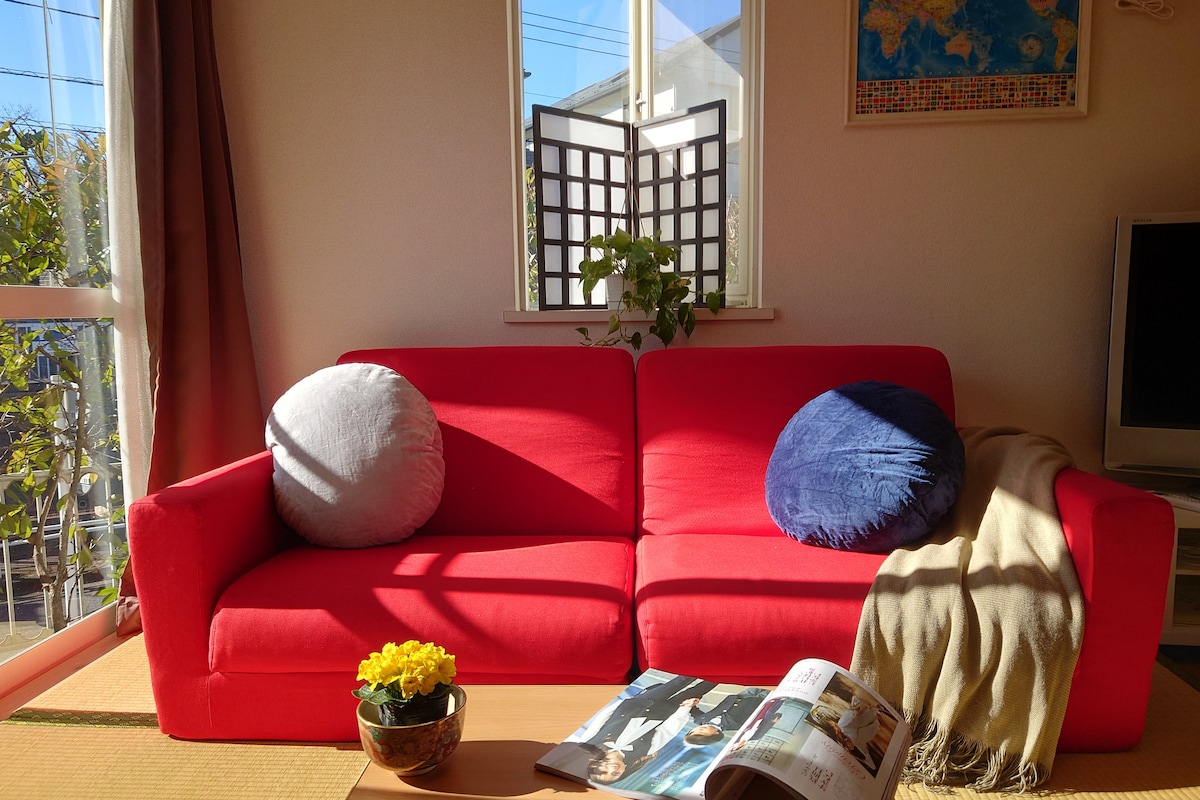 A bright living area features a red couch adorned with two cushions, one round and gray, the other round and blue. A light blanket drapes over the armrest. A coffee table is positioned in front, with a magazine and a potted flower providing a touch of greenery.