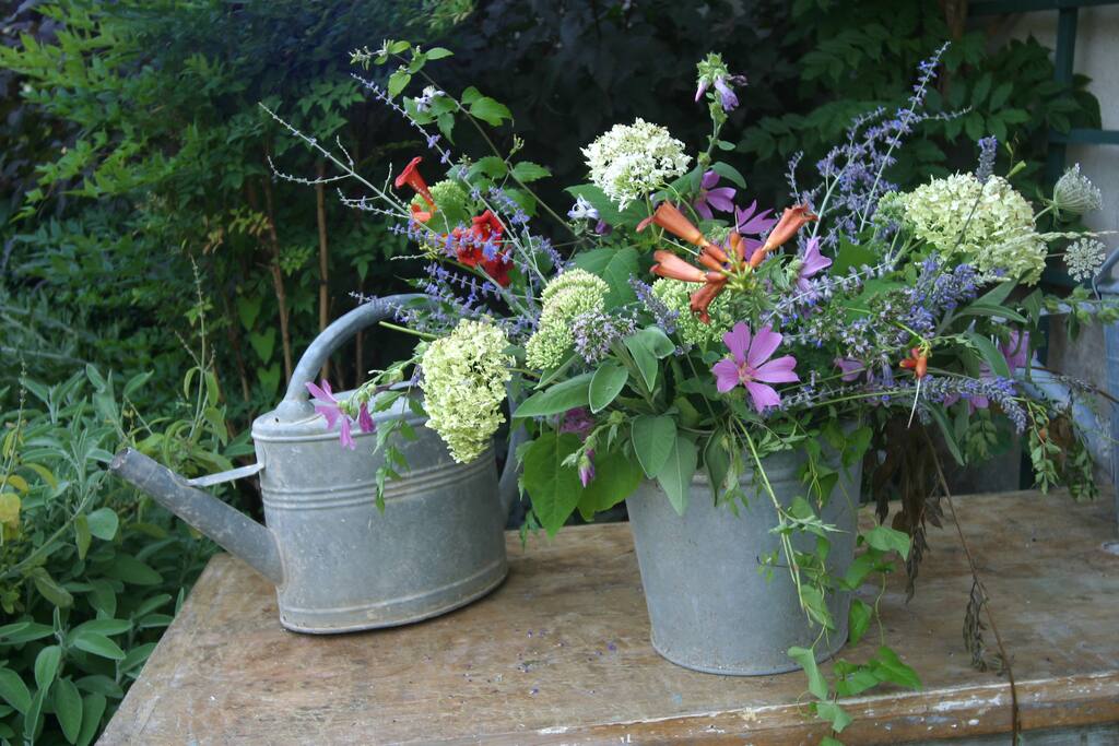 Verse bloemen uit de tuin
