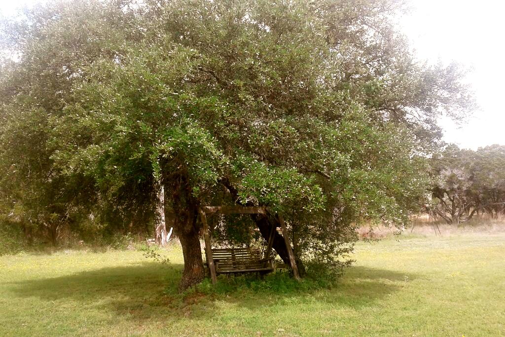 Swing in front of the house