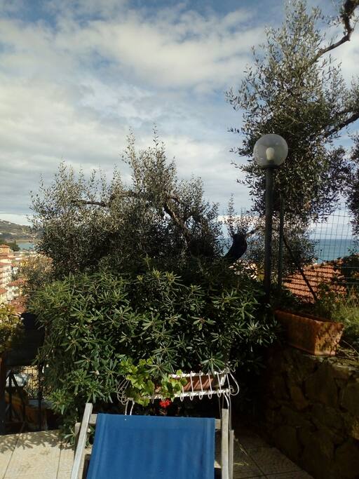 Vista