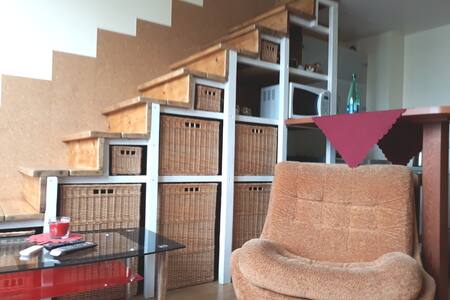 555 Loft FITL
(free internet throughout Lithuania)