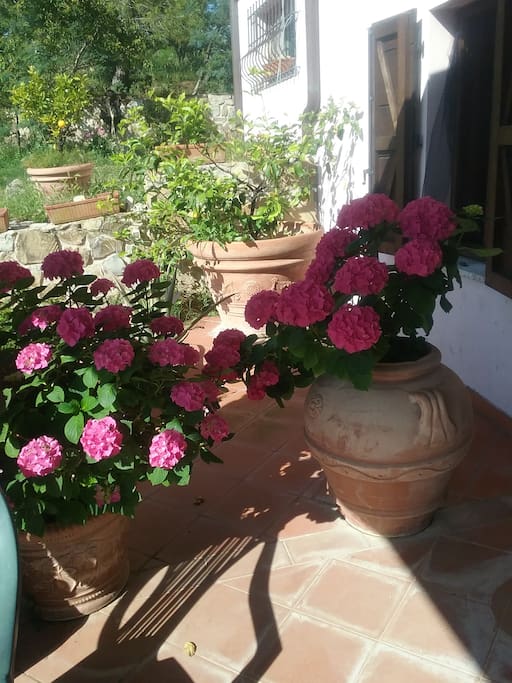 Porticato