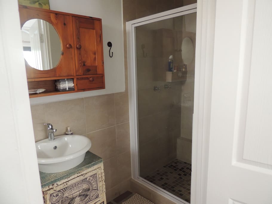Shower, basin and toilet.