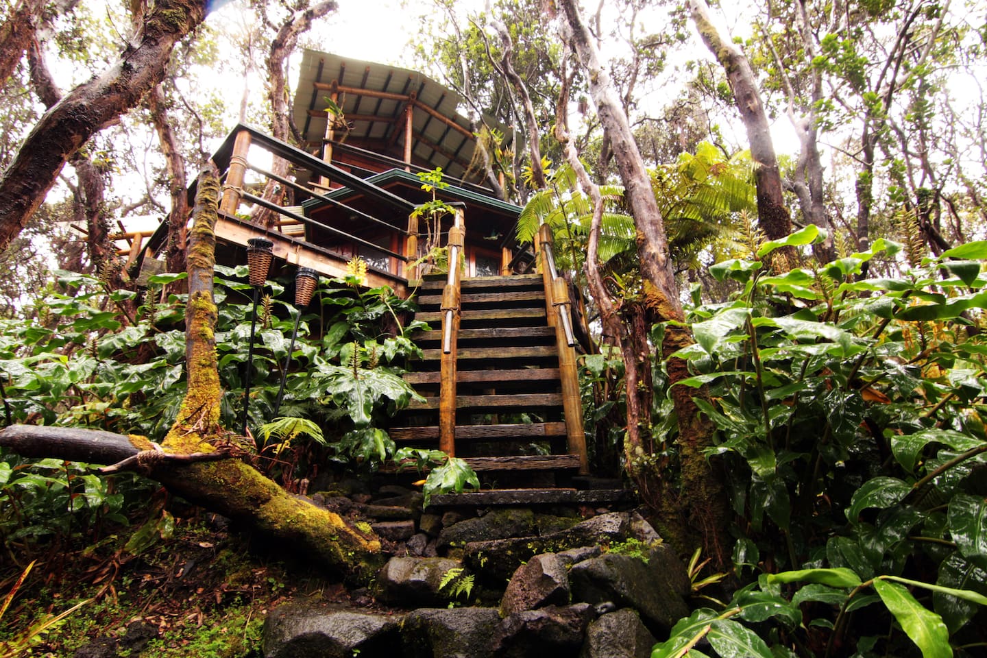 Treehouse at Kilauea Volcano | 30 Marvelously Beautiful Airbnbs Around the World