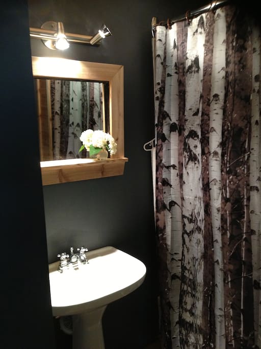Newly renovated bathroom. Full. Tub/shower, sink, toilet.