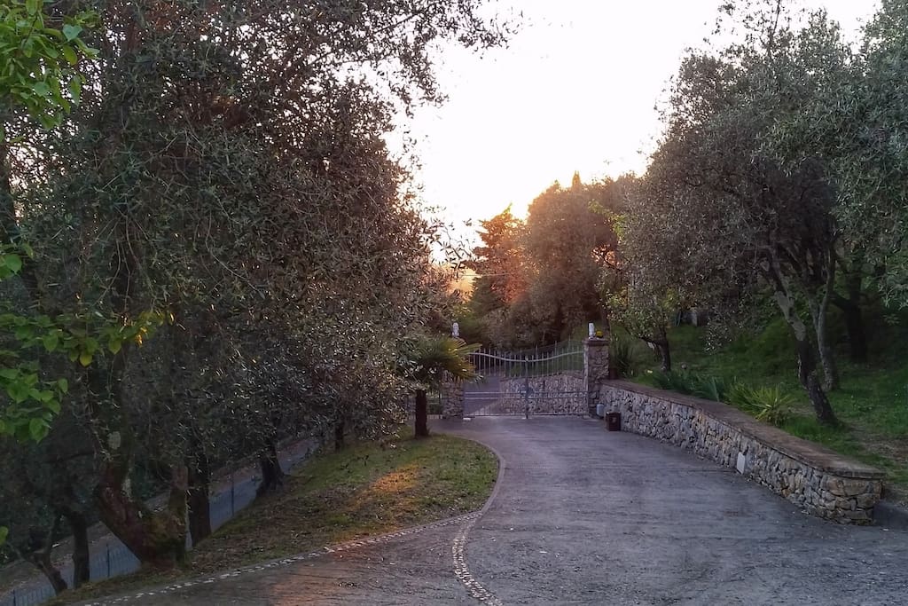 Ingresso della tenuta immerso negli ulivi